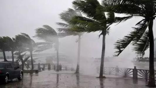 8月臺風雨即將來，除濕機還得用起來