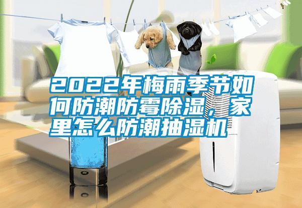 2022年梅雨季節(jié)如何防潮防霉除濕，家里怎么防潮抽濕機