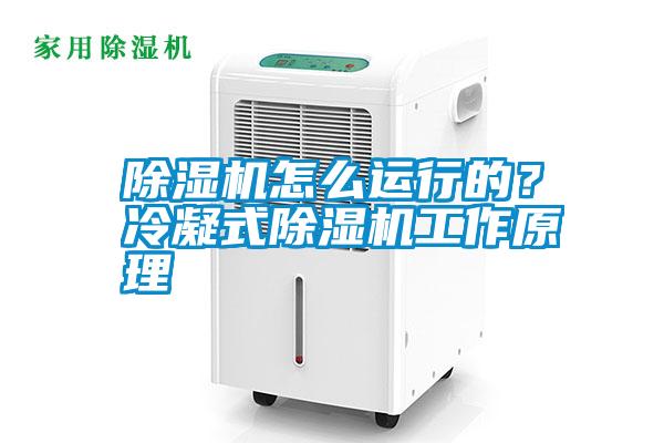 除濕機(jī)怎么運(yùn)行的？冷凝式除濕機(jī)工作原理