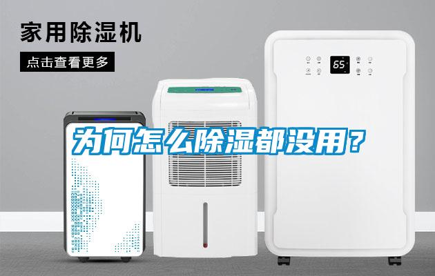 為何怎么除濕都沒用？