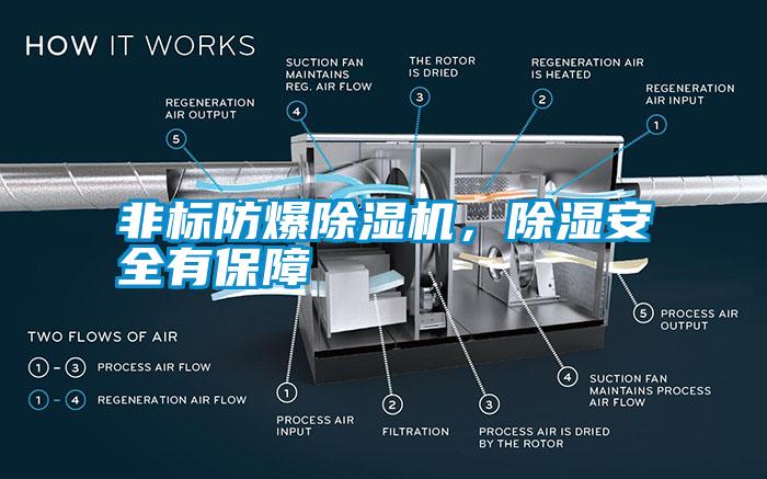 非標(biāo)防爆除濕機，除濕安全有保障