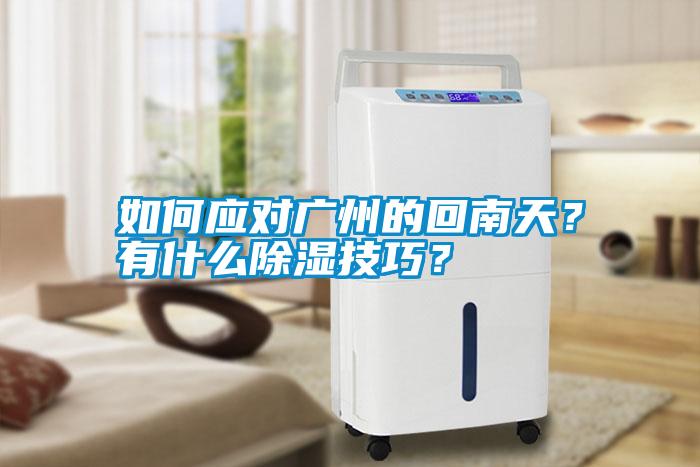 如何應(yīng)對廣州的回南天？有什么除濕技巧？