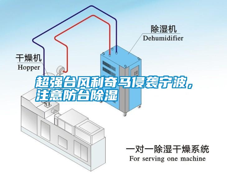 超強(qiáng)臺風(fēng)利奇馬侵襲寧波，注意防臺除濕