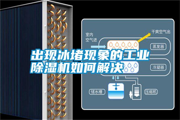 出現(xiàn)冰堵現(xiàn)象的工業(yè)除濕機(jī)如何解決