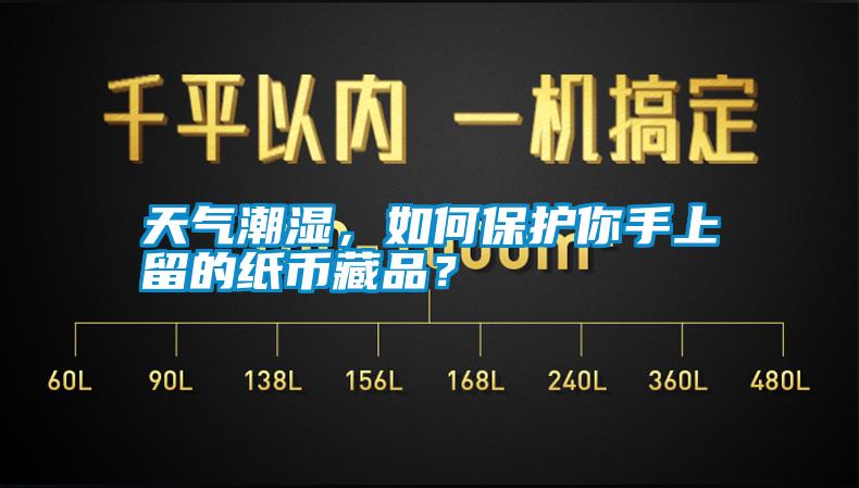 天氣潮濕，如何保護你手上留的紙幣藏品？