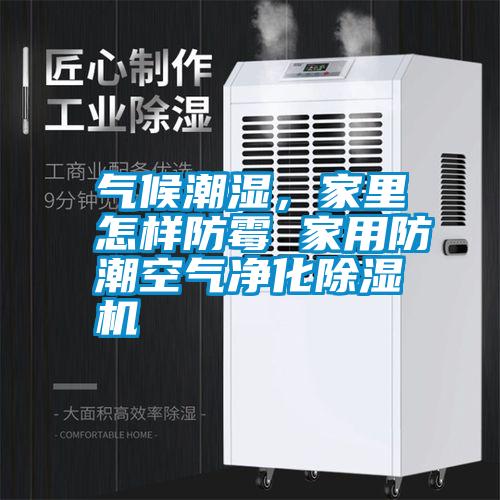 氣候潮濕，家里怎樣防霉 家用防潮空氣凈化除濕機(jī)