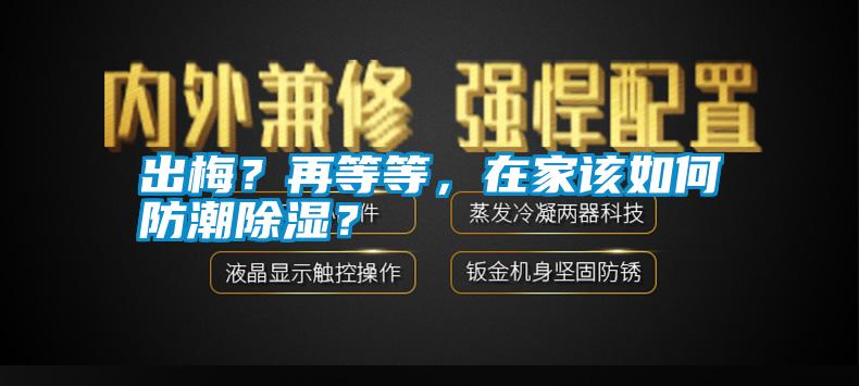 出梅？再等等，在家該如何防潮除濕？