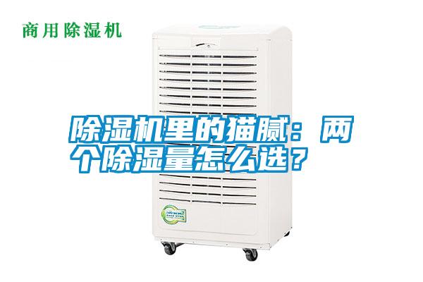 除濕機里的貓膩：兩個除濕量怎么選？