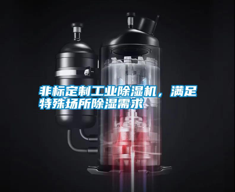 非標(biāo)定制工業(yè)除濕機，滿足特殊場所除濕需求