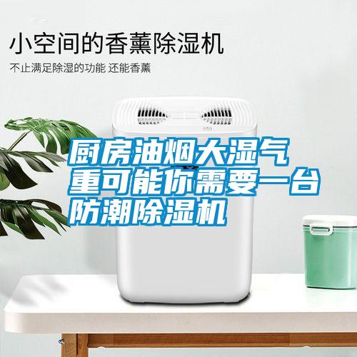 廚房油煙大濕氣重可能你需要一臺防潮除濕機(jī)