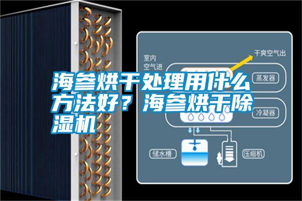 海參烘干處理用什么方法好？海參烘干除濕機(jī)