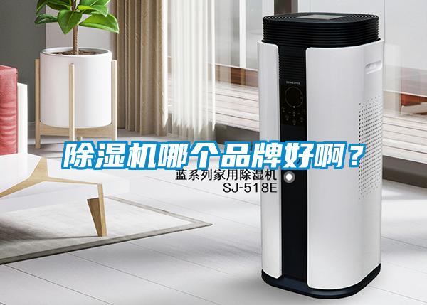 除濕機哪個品牌好??？