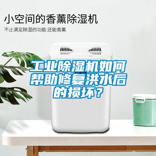 工業(yè)除濕機如何幫助修復洪水后的損壞？