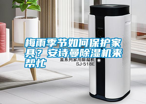 梅雨季節(jié)如何保護(hù)家具？安詩(shī)曼除濕機(jī)來幫忙