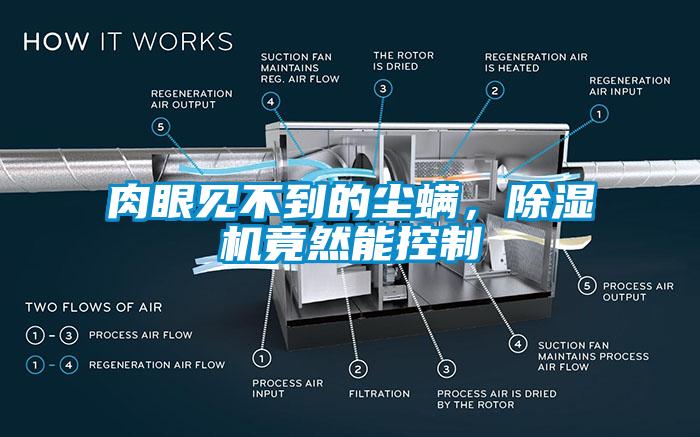 肉眼見不到的塵螨，除濕機竟然能控制