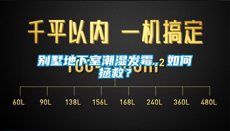 別墅地下室潮濕發(fā)霉，如何拯救？