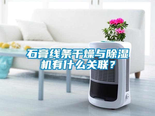 石膏線條干燥與除濕機有什么關(guān)聯(lián)？