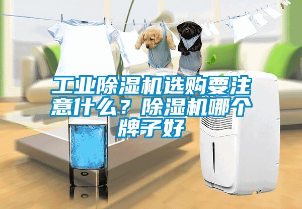 工業(yè)除濕機(jī)選購要注意什么？除濕機(jī)哪個牌子好