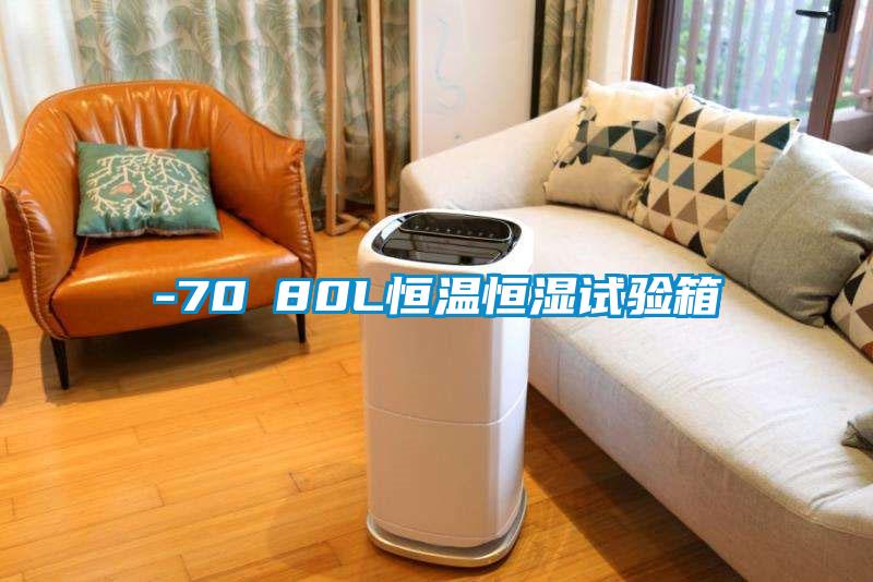 -70℃80L恒溫恒濕試驗(yàn)箱