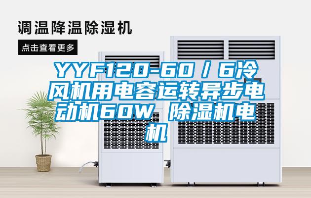 YYF120-60／6冷風機用電容運轉異步電動機60W 除濕機電機