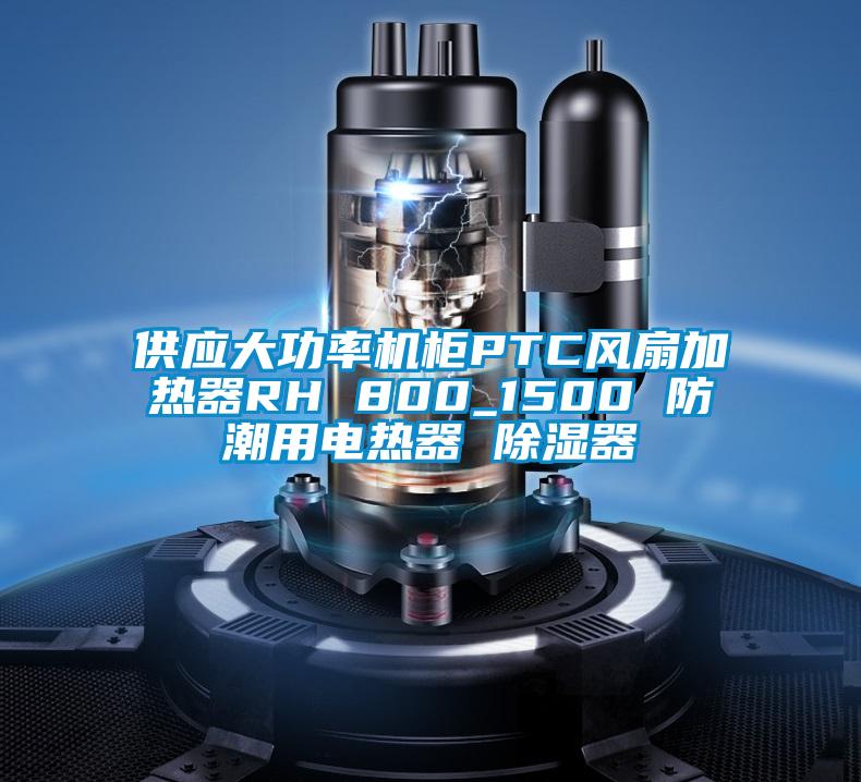 供應(yīng)大功率機柜PTC風扇加熱器RH 800_1500 防潮用電熱器 除濕器