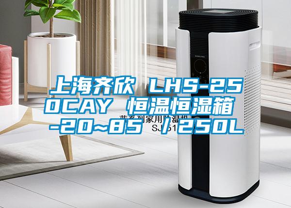 上海齊欣 LHS-250CAY 恒溫恒濕箱 -20~85℃／250L