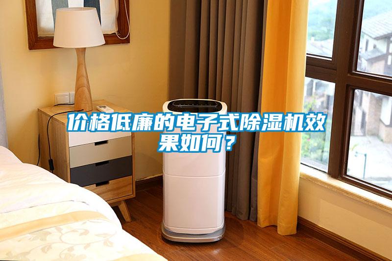 價格低廉的電子式除濕機效果如何？