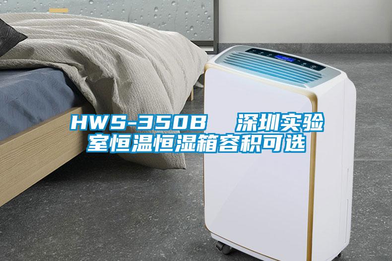 HWS-350B  深圳實(shí)驗(yàn)室恒溫恒濕箱容積可選