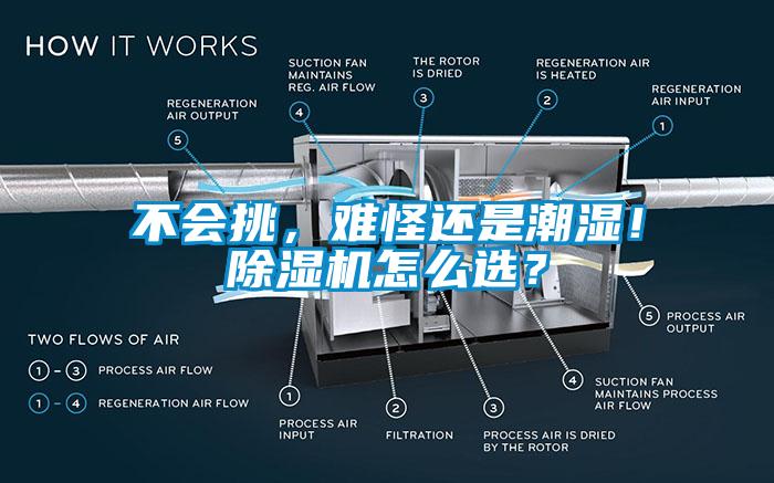 不會挑，難怪還是潮濕！除濕機(jī)怎么選？