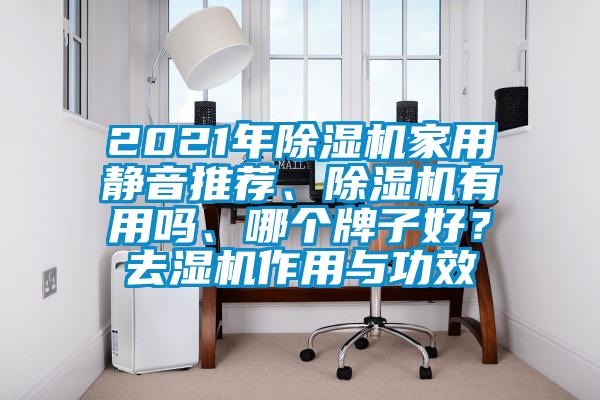 2021年除濕機家用靜音推薦、除濕機有用嗎、哪個牌子好？去濕機作用與功效