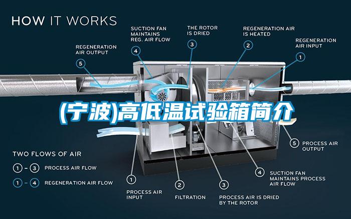 (寧波)高低溫試驗(yàn)箱簡介