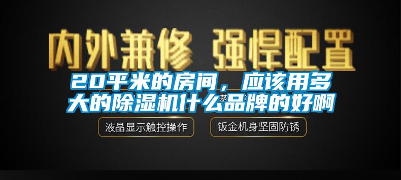 20平米的房間，應(yīng)該用多大的除濕機(jī)什么品牌的好啊