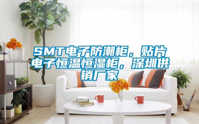 SMT電子防潮柜，貼片電子恒溫恒濕柜，深圳供銷廠家