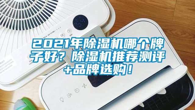 2021年除濕機哪個牌子好？除濕機推薦測評+品牌選購！