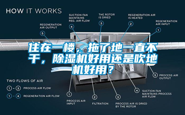 住在一樓，拖了地一直不干，除濕機(jī)好用還是吹地機(jī)好用？