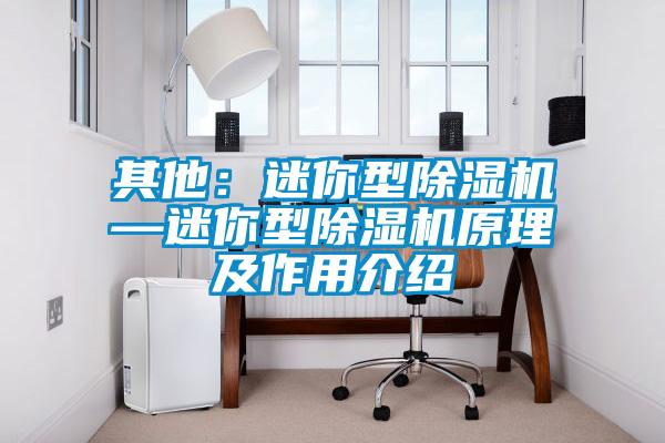 其他：迷你型除濕機—迷你型除濕機原理及作用介紹