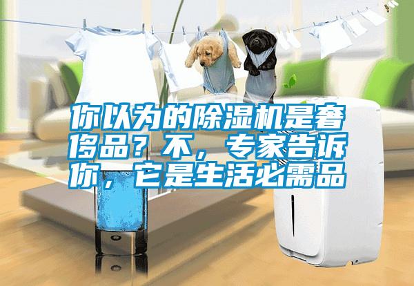 你以為的除濕機(jī)是奢侈品？不，專家告訴你，它是生活必需品