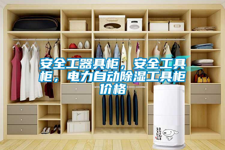 安全工器具柜，安全工具柜，電力自動除濕工具柜價格