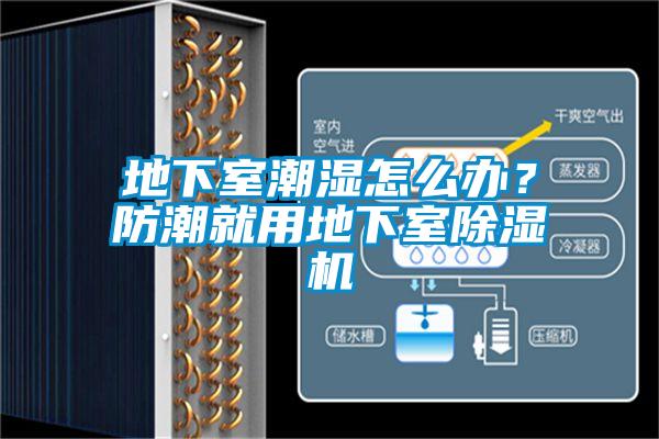 地下室潮濕怎么辦？防潮就用地下室除濕機