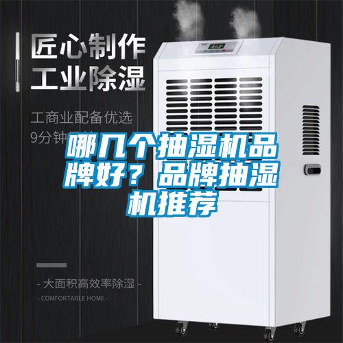 哪幾個(gè)抽濕機(jī)品牌好？品牌抽濕機(jī)推薦