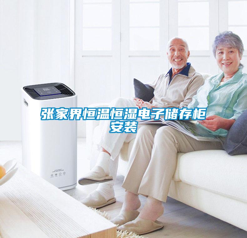 張家界恒溫恒濕電子儲存柜安裝