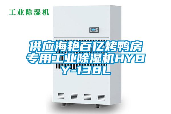 供應(yīng)海艷百億烤鴨房專用工業(yè)除濕機(jī)HYBY-138L