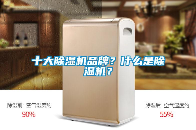 十大除濕機品牌？什么是除濕機？