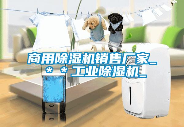 商用除濕機銷售廠家_＊＊工業(yè)除濕機_