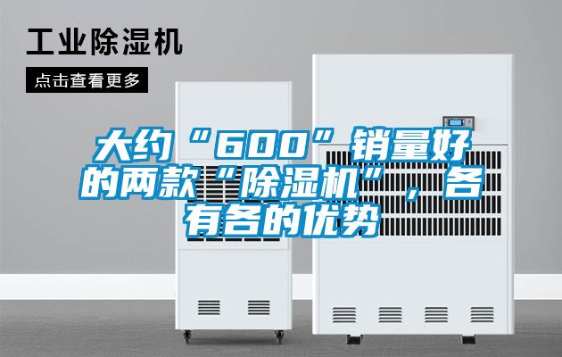 大約“600”銷量好的兩款“除濕機”，各有各的優(yōu)勢