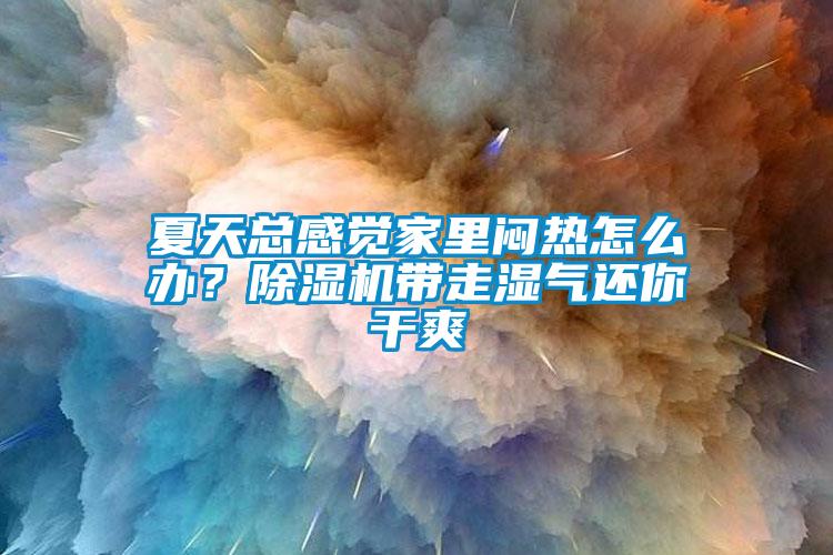 夏天總感覺家里悶熱怎么辦？除濕機帶走濕氣還你干爽