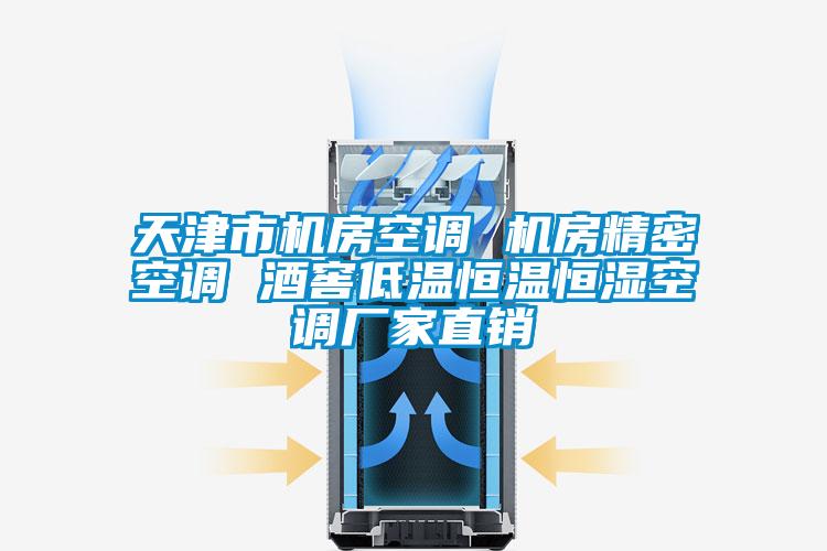 天津市機房空調 機房精密空調 酒窖低溫恒溫恒濕空調廠家直銷