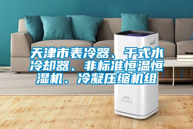 天津市表冷器、干式水冷卻器、非標準恒溫恒濕機、冷凝壓縮機組