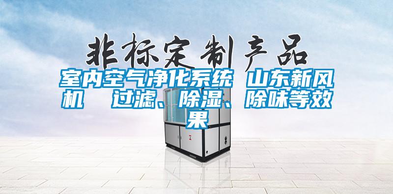 室內空氣凈化系統(tǒng) 山東新風機  過濾、除濕、除味等效果