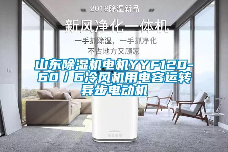 山東除濕機電機YYF120-60／6冷風(fēng)機用電容運轉(zhuǎn)異步電動機